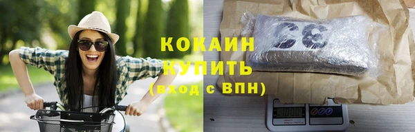 дмт Няндома