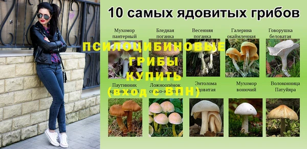 хмурый Новодвинск