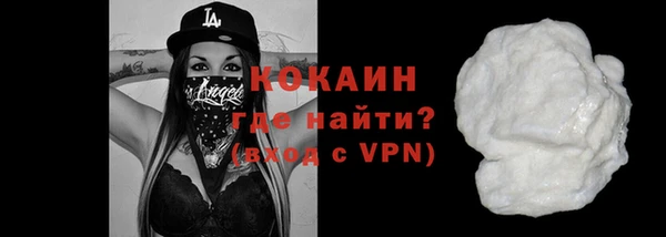 дмт Няндома