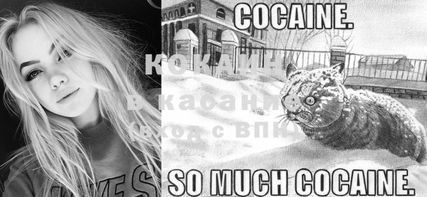 ECSTASY Новозыбков