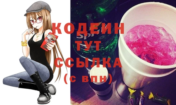 дмт Няндома