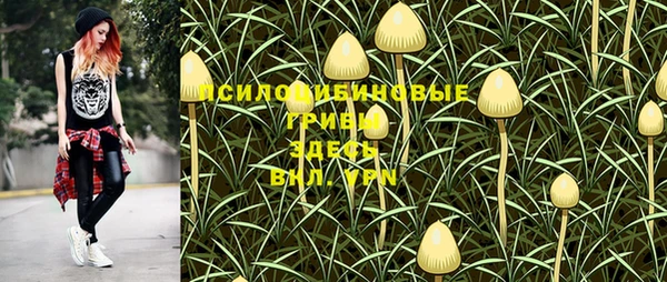 дурь Нягань