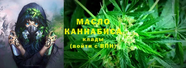 дмт Няндома