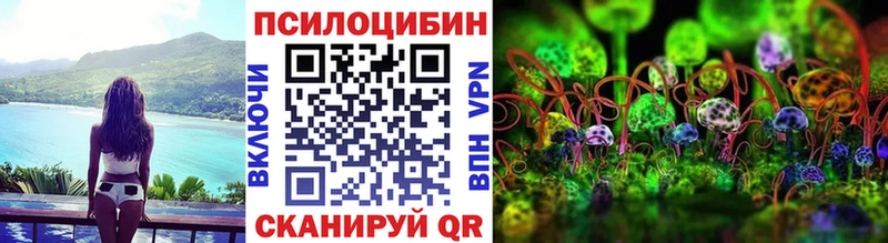 Галлюциногенные грибы Psilocybine cubensis  купить   Почеп 