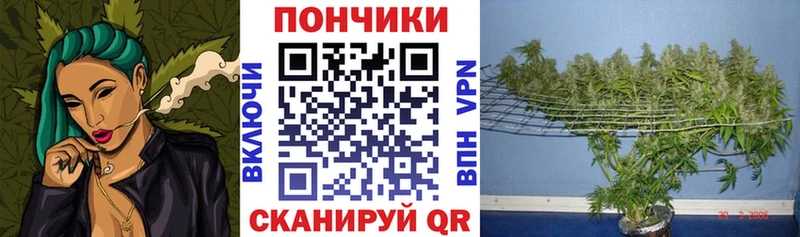 МАРИХУАНА конопля  ОМГ ОМГ вход  это клад  Почеп 